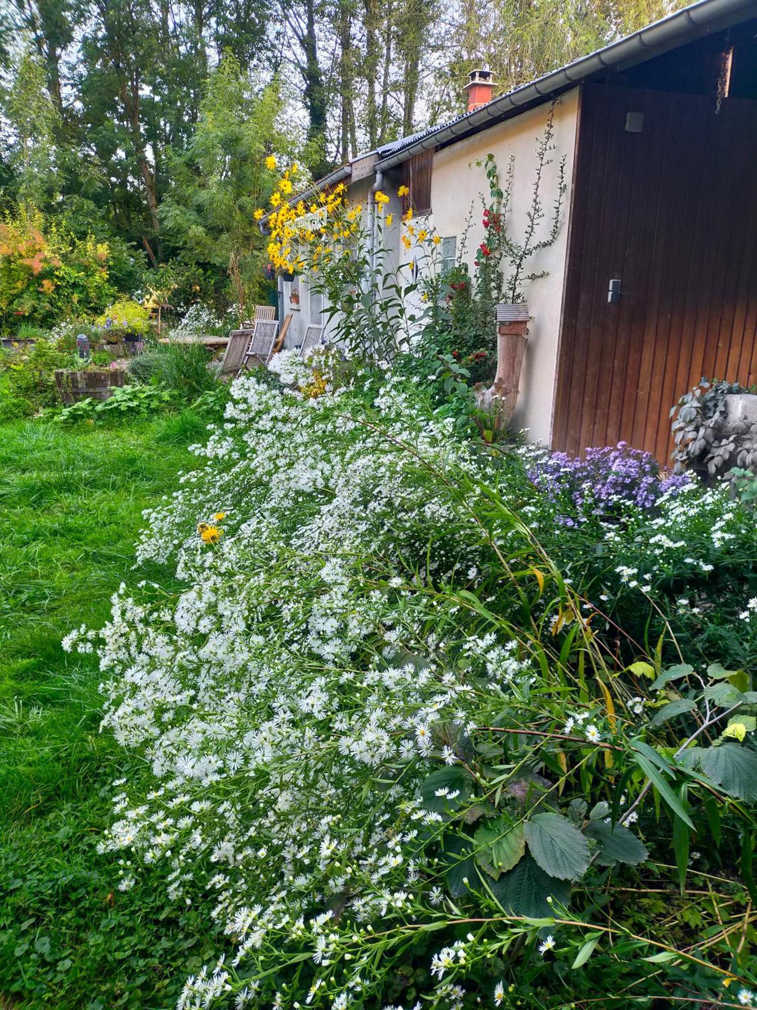Logis51 Lägenhet Ville-sur-Tourbe Exteriör bild